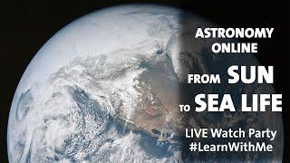 Astronomy Online From Sun to Sea Life