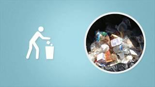 Reduce Food Waste at Schools