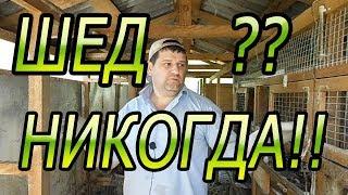 8 ПРИЧИН НЕ СТРОИТЬ ШЕД ДЛЯ КРОЛИКОВ