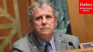 A Free Independent Media Is Vital To Our Democracy Sherrod Brown Praises Journalists