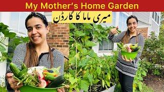 My Mother’s Garden Tour In America  Come Harvest My Mama’s Garden  Healthy Organic Vegetables