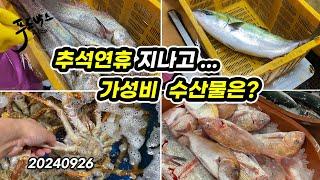 모르면 손해보는 추석연휴 지나고 가격 좋은 수산물들... 9월 26일  노량진 수산시장