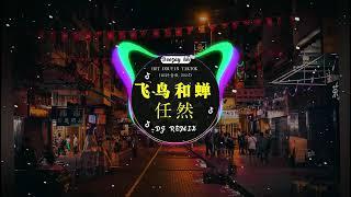 Chinese DJ remix Hot Tiktok Douyin Dj 抖音版2024 - 柯柯柯啊 - 姑娘在远方 \阿冗 - 你的答案  That s Why You Go Away