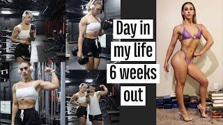 BIKINI PREP VLOG day in my life 6 weeks out + prep update