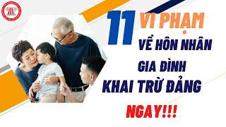 11 Trường Hợp Vi Phạm Về Hôn Nhân Gia Đình Sẽ Bị Khai Trừ Đảng Ngay  TVPL