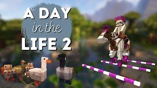 Horse training and new things on the ranch Minecraft SWEM - RRP