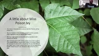 Species Presentation- Toxicodendron radicans