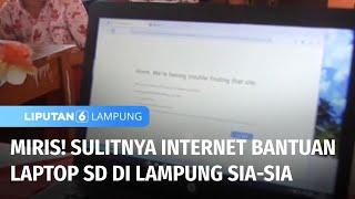 Miris Sulitnya Internet Murid dan Guru Harus Tempuh 5 km Untuk Dapat Sinyal   Liputan 6 Lampung