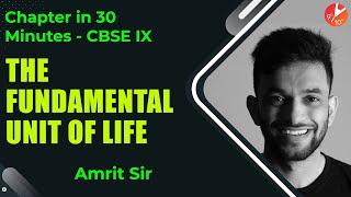 The Fundamental Unit of Life Class 9  Biology Class 9th  CBSE Class 9th Science  Vedantu 9 and 10