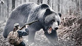 ¿Cómo se enfrentan los agricultores y los cazadores a millones de animales salvajes y osos?