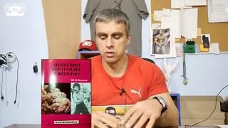 Александр Пасько полное видео про книги Буланова