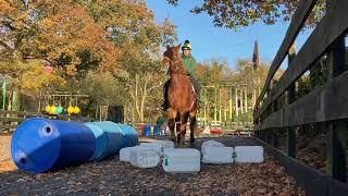 Arena Riding with Suffolk Punch Geldings Rocket & Ryan