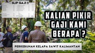 Gaji Asisten Sawit Kalimantan