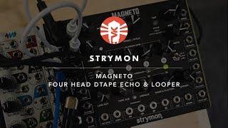 Strymon Magneto  Modular Synthesizer  Vintage King