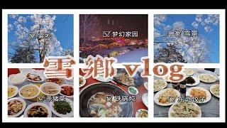 雪乡vlog  在哈尔滨报两天一夜雪乡团值吗？雪乡游玩路线  亚布力滑雪场  东北杀猪菜  超简化版铁锅炖