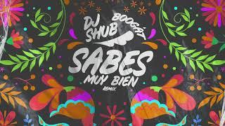 Sabes Muy Bien - DJ Shub Remix