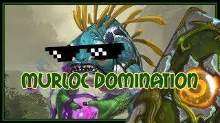 Hearthstone Murloc domination murloc paladin