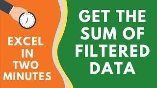 Get the Sum of Filtered Data in Excel Using SUBTOTAL Formula