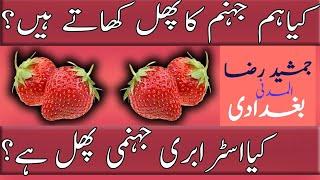 Kia Strawberry khana Haram hai ? Jamshaid Raza Baghdadi AlMadni