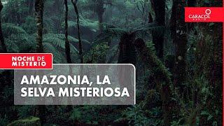 Amazonia la selva misteriosa  Noche de Misterio