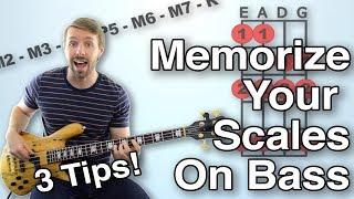 How To Memorize Bass Scales Three Tips To Make Sure You Never Forget A Scale