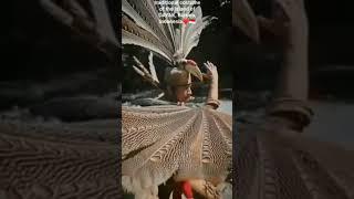 dayak#viral #tiktok #shorts #short