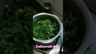 kathiyavadipalaknushak #kathiyavadispecial#cooking#recipe#kathiyavadishak#gujratishak#ગુજરાતીવાનગી