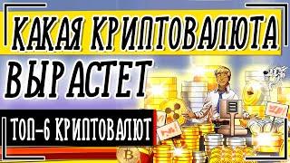 Какая криптовалюта вырастет в ближайшее время - ТОП-6 криптовалют которые будут расти