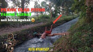 vidio lucu PRANK ULAR PITON Paling Laknat  asli lucu bikin ngakak auto Nyungsep snake prank