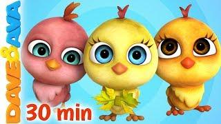  Little Chicks + More Nursery Rhymes & Kids Songs  Dave and Ava 