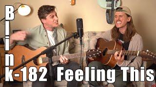 Feeling This - Blink 182 acoustic cover