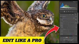 Lightroom Classic 2024 A Beginners Guide to Image Editing