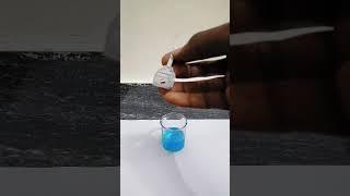 DISPLACEMENT REACTION #displacementreaction #science #scienceexperiment #coppersulphate #iron