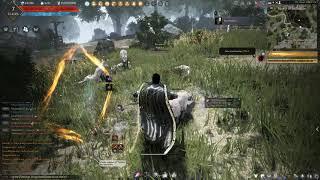 Black Desert Online Remastered - Sages beginner action combat