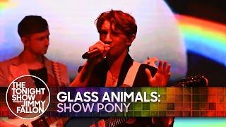 Glass Animals Show Pony  The Tonight Show Starring Jimmy Fallon