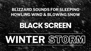 Winter Storm Sounds for Deep Relaxation  Blizzard Sounds for Sleeping  Howling Wind & Blowing Snow