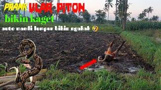 vidio lucu PRANK ULAR PITON Paling Extreme  Super Lucu Bikin Ngakak Funniest Snake Prank