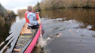 Canoeing Stern Pry