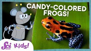 Why Are These Frogs So Colorful?  SciShow Kids