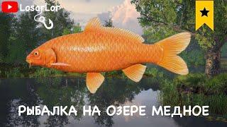 Ловля на Оз.Медное.Проверка 2 фармовых точек. Russian Fishing 4