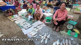 ของป่าลาว ตลาดเช้าเมืองน้ำบาก หลวงพระบาง ลาบเนื้อควาย อาหารเช้าแซ่บๆ