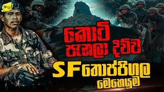 කොටි පැනලා දිව්ව SF ‌තොප්පිගල මෙහෙයුම SF මනා හෙළි කරයි  WANESA TV