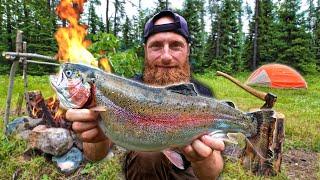 3 Days Camping in NORTHERN Canada  Catch Clean Cook Football Sized Trout in the Forest