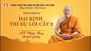 Kinh Nikāya - Đại Kinh Thí dụ lõi cây 2 - HT Pháp Tông thuyết giảng Khóa XGGD mùa Thu