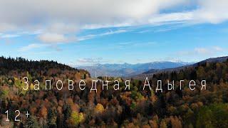 Заповедная Адыгея 4K