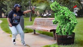 FAKE BUSH SCARE PRANK IN THE HOOD