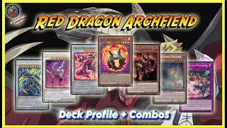 Rey Carmesí Deck Profile Competitivo Yu-Gi-Oh 2024 - Red Dragon Archfiend - NUEVA RECETA