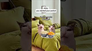 CAT MEMES You started your period #catmemes #relatable #relationship