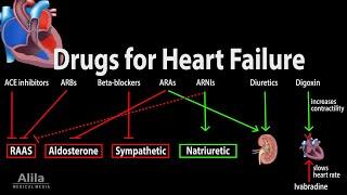 Pharmacology Drugs for Heart Failure Animation