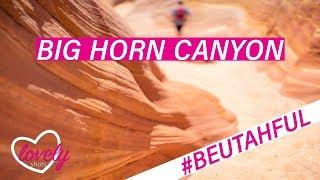 So bunt. So wow. - Escalante - Tag 5 - #beUtahful USA Roadtrip 2018